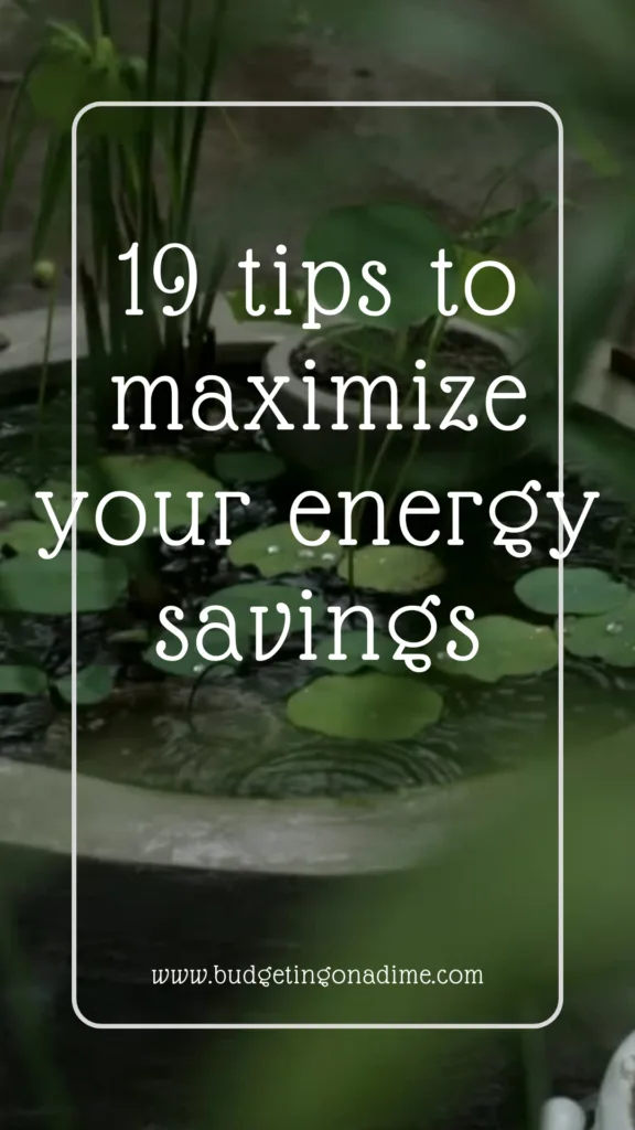 Image with a serene background featuring a water garden, overlaid with the text '19 tips to maximize your energy savings' and the website URL www.budgetingonadime.com, promoting practical advice for reducing energy consumption.