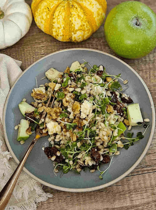 Hearty barley salad with green apple chunks, dried cranberries, walnuts, feta, and microgreens—an earthy, wholesome dish that’s perfect for easy fall recipes and fresh things to make with apples.S