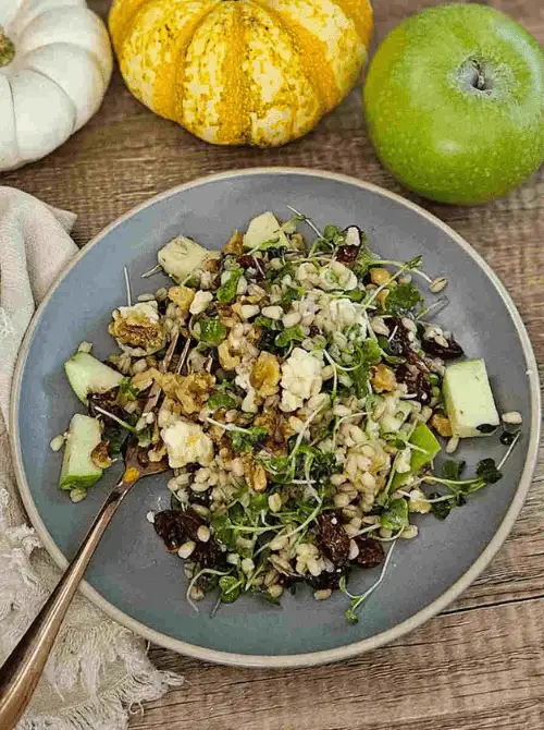 Hearty barley salad with green apple chunks, dried cranberries, walnuts, feta, and microgreens—an earthy, wholesome dish that’s perfect for easy fall recipes and fresh things to make with apples.S