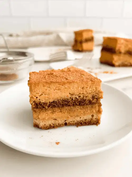 Slice of pumpkin tiramisu layered with coffee-soaked ladyfingers and creamy pumpkin filling—an easy and indulgent idea for what to make with leftover pumpkin puree and a unique fall twist on pumpkin desserts.