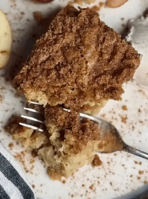 Close-up of a moist apple coffee cake slice with cinnamon crumble topping—an easy fall dessert and one of the most delicious things to make with apples during the season.