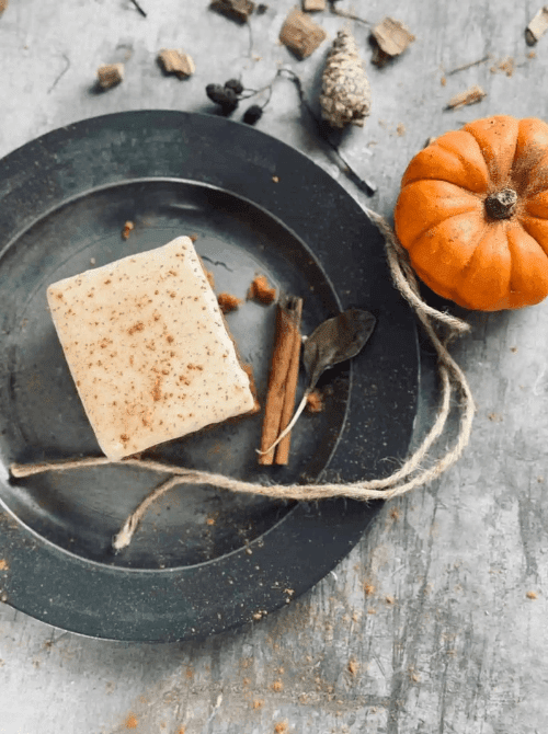 Square slice of pumpkin cake topped with warm spices on a rustic plate, styled with twine, cinnamon sticks, and a mini pumpkin—an autumnal idea for what to make with leftover pumpkin puree in cozy pumpkin cakes and cupcakes.