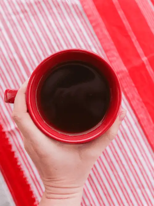 Hand holding a red mug filled with warm spiced apple cider, set against a festive red-striped background—simple, soothing, and a classic choice for easy fall recipes and nostalgic things to make with apples.