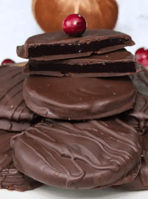 Chocolate-covered cranberry patties stacked with a fresh cranberry on top – a creative idea for what to make with Thanksgiving leftovers and recipes that stretch your budget.