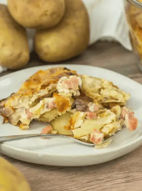 Serving of scalloped potatoes with ham on a white plate, part of Budget-Friendly Thanksgiving Sides and Easy Potato Recipes for a hearty holiday meal.