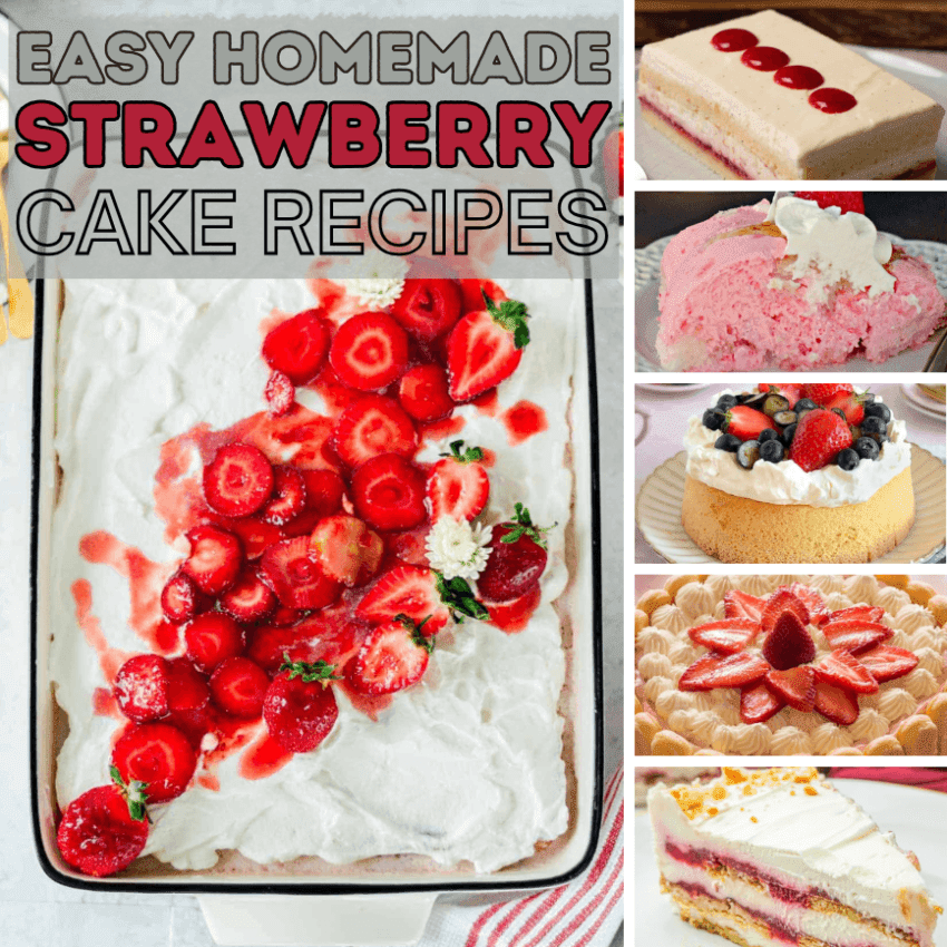 Collage of easy homemade strawberry cake recipes including strawberry tres leches, strawberry jello angel food cake, air fryer genoise, strawberry charlotte cake, and gingersnap icebox cake — fourteen things to make with strawberries all in one place
